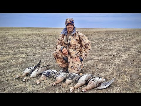 Видео: Весенняя охота на гуся | Сказ о несбывшихся надеждах