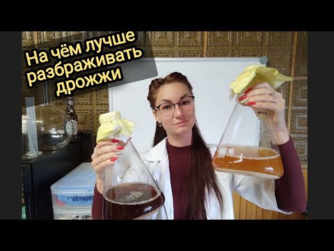 Видео: На чëм лучше разбраживать дрожжи.