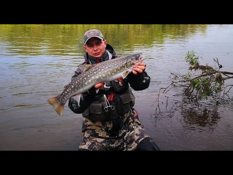 Видео: Камчатка август 2018 (часть 2)