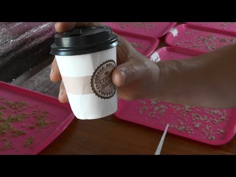 Видео: Мои секреты заготовки семян томатов