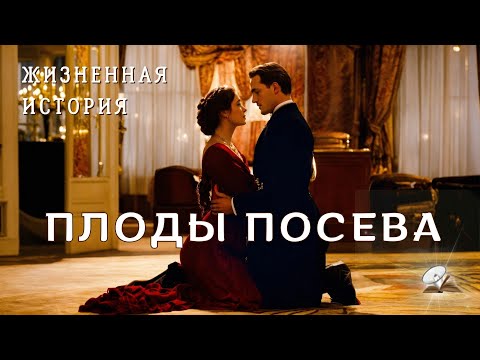 Видео: Плоды посева. История из жизни