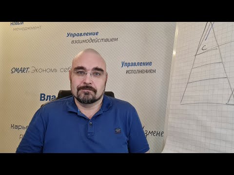 Видео: Может ли существовать компания без иерархии