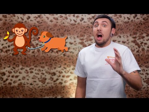 Видео: +100500 — Шимпанзе и Пёс