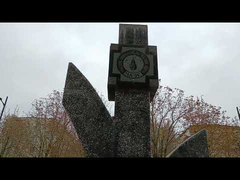 Видео: Город Новомичуринск, который стоит на реке "Проня " Рязанской области.