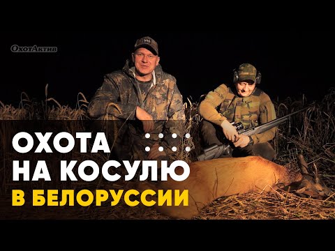 Видео: ОХОТА НА КОСУЛЮ В БЕЛАРУСИИ! ТЕПЛОВИЗОР SYTONG  В ДЕЛЕ.