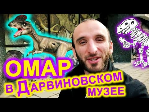 Видео: Омар сходил в Дарвиновский музей // Омар в большом городе