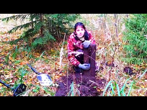 Видео: Я ВЕРНУЛАСЬ! НОВОЕ ВИДЕО С ПЕРВОГО ОСЕННЕГО МЕТАЛЛОКОПА