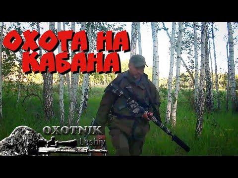 Видео: Вышло стадо КАБАНОВ!!! Охота на горохе.