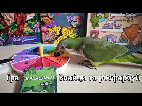Видео: Гра 🎨 Крокодил "Знайди та розфарбуй" | Веселий челендж