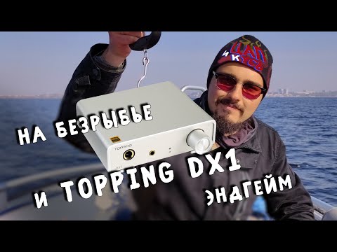 Видео: ЦАП И кУСЬ - Topping DX1: маленький ящик, который обещает большой звук. Обзор на цап + усилитель