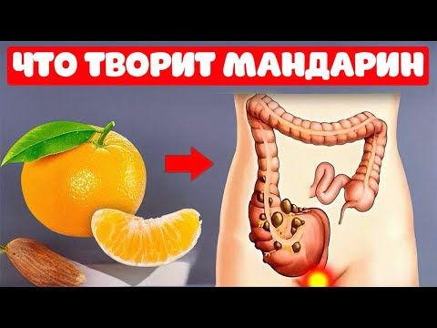 Видео: Даже кусочек МАНДАРИНА вызывает НЕОБРАТИМЫЕ ПРОЦЕССЫ в организме человека!…
