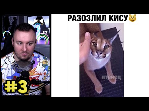 Видео: Тест на психику ► ЛУЧШИЕ ПРИКОЛЫ  #3