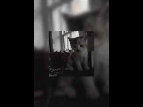 Видео: Просто_Плейлист (｡-∀-)♪