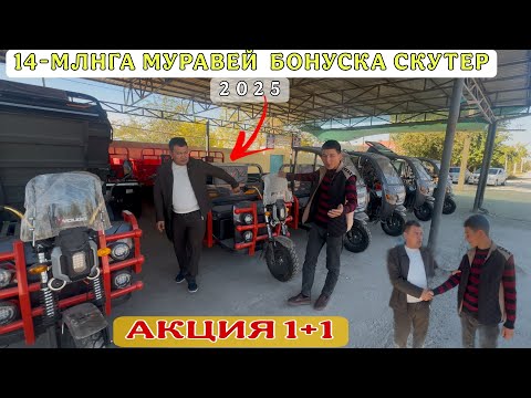 Видео: МУРАВЕЙ АЛАТЫН УАХЫТ КЕЛДИ/БИЗНЕС ИДЕЯ/ЖАЙХУН МОТОРСТА АКЦИЯ/2025
