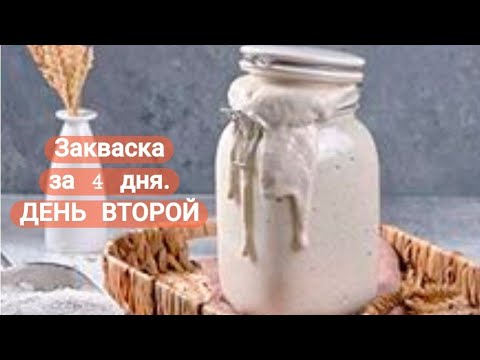 Видео: ПШЕНИЧНАЯ ЗАКВАСКА ЗА 4 ДНЯ. ДЕНЬ ВТОРОЙ