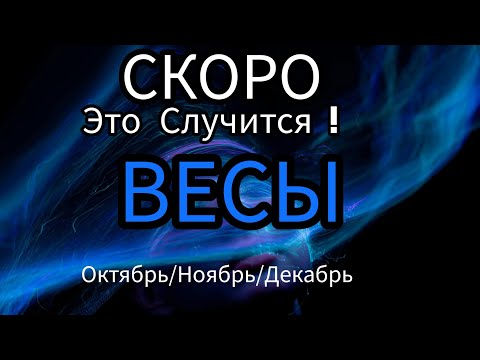 Видео: ВЕСЫ♎️ОКТЯБРЬ/НОЯБРЬ/ДЕКАБРЬ 2024🔴4 квартал года.Главные события периода.Таро гороскоп/прогноз