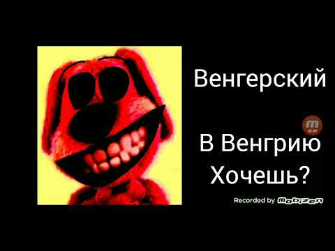 Видео: Ты учишь этот язык: