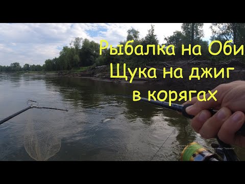 Видео: Рыбалка на Оби в Томской области  Первый выезд Июль 2021