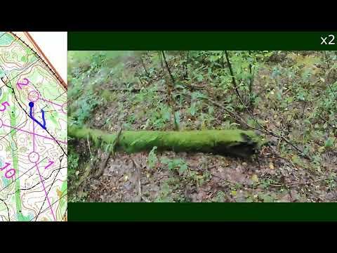 Видео: Headcam Orienteering #194 КСО "Коршунята" "Бабье лето 2024" 14.09.2024 о.п. 1312 км.