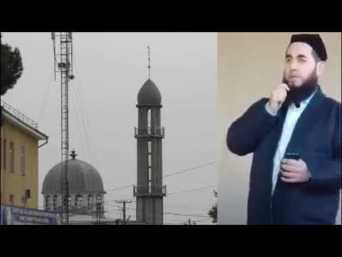 Видео: МАХДУМИ АБДУЛҲАҚ АЗ ҲАБС ОЗОД ШУДААСТ