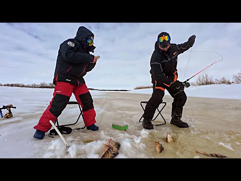 Видео: Клёвая рыбалка на базе отдыха ЩУЧИЙ КРАЙ / закрытие зимнего сезона