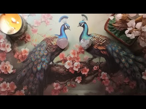 Видео: Новая любовь 💞