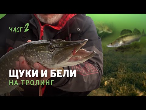 Видео: ЩУКИ и БЕЛИ на ТРОЛИНГ - яз. Искър  - 2 част
