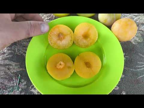 Видео: Емералд Дроп плуот (Emerald Drop pluot)