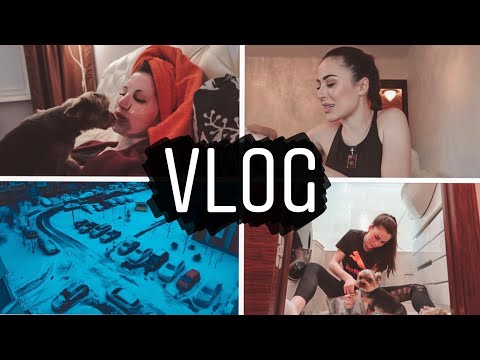 Видео: Моя повседневная жизнь || СТРИГУ СОБАКУ ДОМА | РАСПАКОВКА | ПРОБЛЕМЫ С НЕРВАМИ | Я ПОПРАВИЛАСЬ