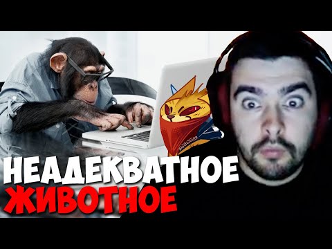 Видео: СТРЕЙ ПОПАЛСЯ С ОБЕЗЬЯНОЙ В ТИМЕ // ИГРАЕТ НА МИДОВОМ БХ С НЕАДЕКВАТОМ В ТИМЕ