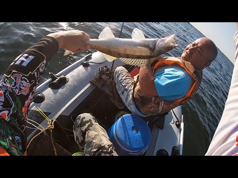 Видео: РЫБАЛКА НА КРУЖКИ! И СНОВА СЕЛЕТА!