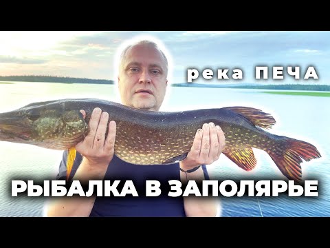 Видео: Природа и рыбалка на реке Печа. Кольский полуостров