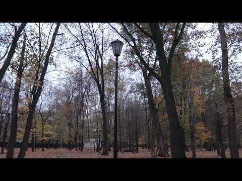 Видео: Лефортово 19 октября 2025 года