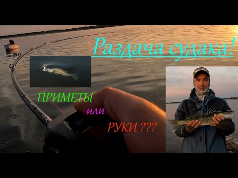 Видео: Судак клюет на каждой проводке. Приметы или руки или??? JS COMPANY BIXOD E2 VER.2 BC842XH на джиге.