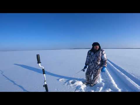 Видео: Карелия. Сямозеро 2024. Глухозимье.