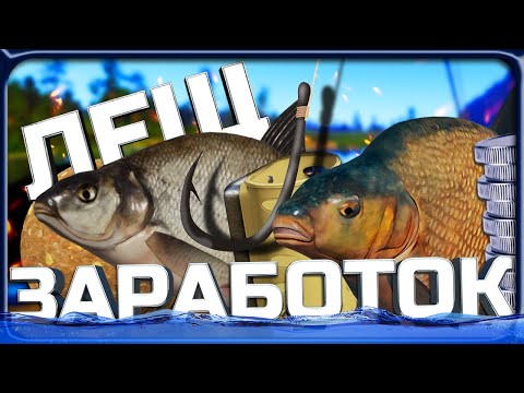 Видео: РР4 ФАРМ ЛЕЩА на начальных водоемах для НОВИЧКОВ и ОПЫТНЫХ рыболовов!