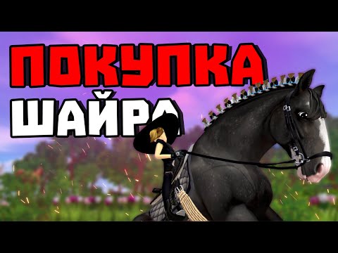 Видео: ПОКУПКА 2 НОВЫХ ШАЙРОВ | МНЕНИЕ О НОВЫХ ЕДИНОРОГАХ | ПИНТАБИАНА ПОФИКСИЛИ? | Star Stable