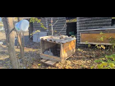 Видео: Переехали в купленный дом. Обустраиваемся. Ставропольский край.