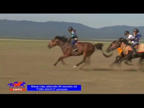 Видео: ГОВЬ ШАНХ-5 уралдаан /Азарга/
