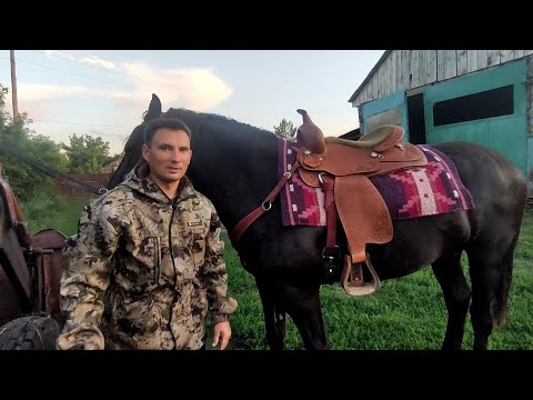 Видео: Седло Вестерн для Черного Принца.🐎 Подготовка к сенокосу🚜