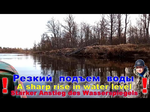 Видео: Как ПРАВИЛЬНО идти по реке при резком подъеме воды. Советы как безопасно идти по реке ранней весной.