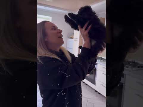 Видео: 3 жовтня 2025 р.
