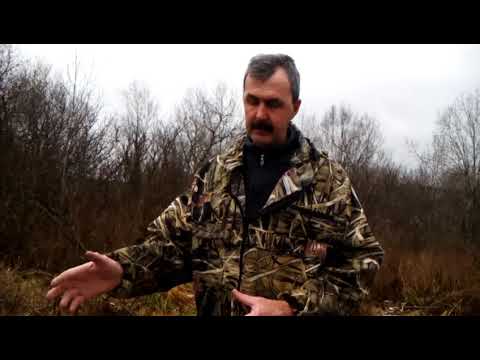 Видео: Многокорпусное пчеловодство в Сибири!