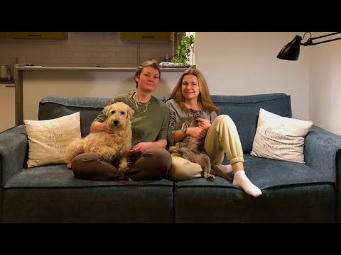 Видео: Переехали к родителям, чтобы стать родителями | Бездомный влог | Пшеничный терьер и бурманская кошка