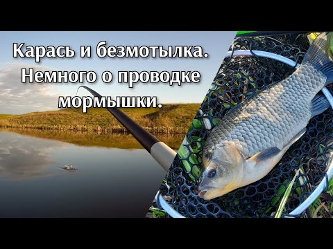 Видео: 15 мая 2023. Карась и безмотылка. Немного о проводке мормышки. Боковой кивок.