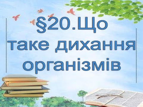 Видео: §20📚 АВДІОПІДРУЧНИК. Пізнаємо природу. 6 кл. Д.Біда. Що таке дихання організмів