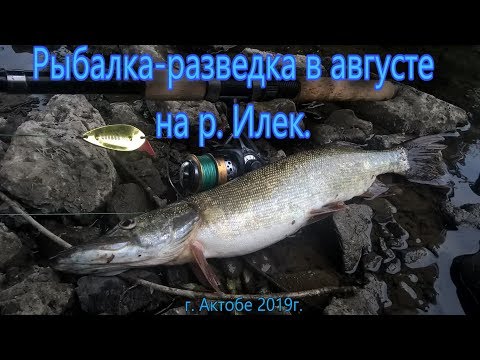 Видео: Рыбалка разведка в августе на р Илек г Актобе 2019г