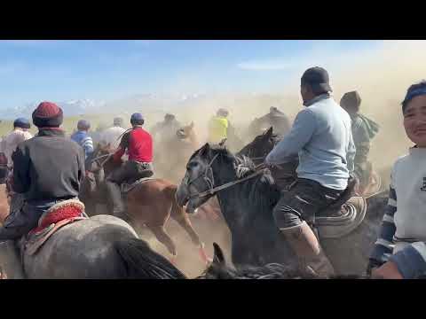 Видео: Әбілхан шабандоз Чемпион💪🏻💪🏻💪🏻🇰🇿🇰🇿🇰🇿