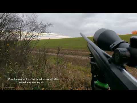 Видео: Red deer hunting in Bulgaria/ Лов на благороден елен в България