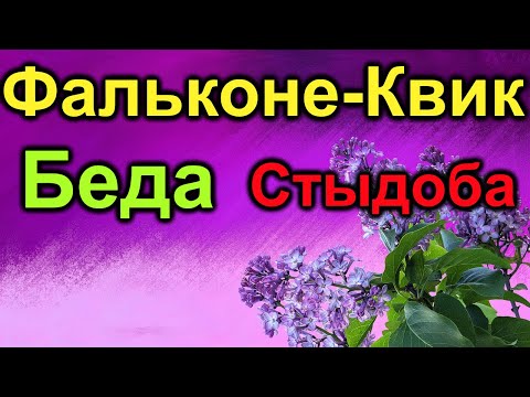 Видео: Фальконе. Беда и стыдоба